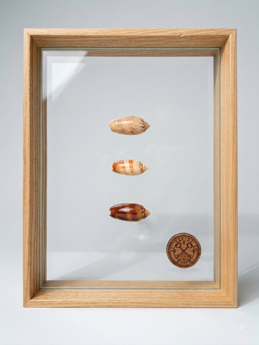 Sous verre moyen : trois olives marines
