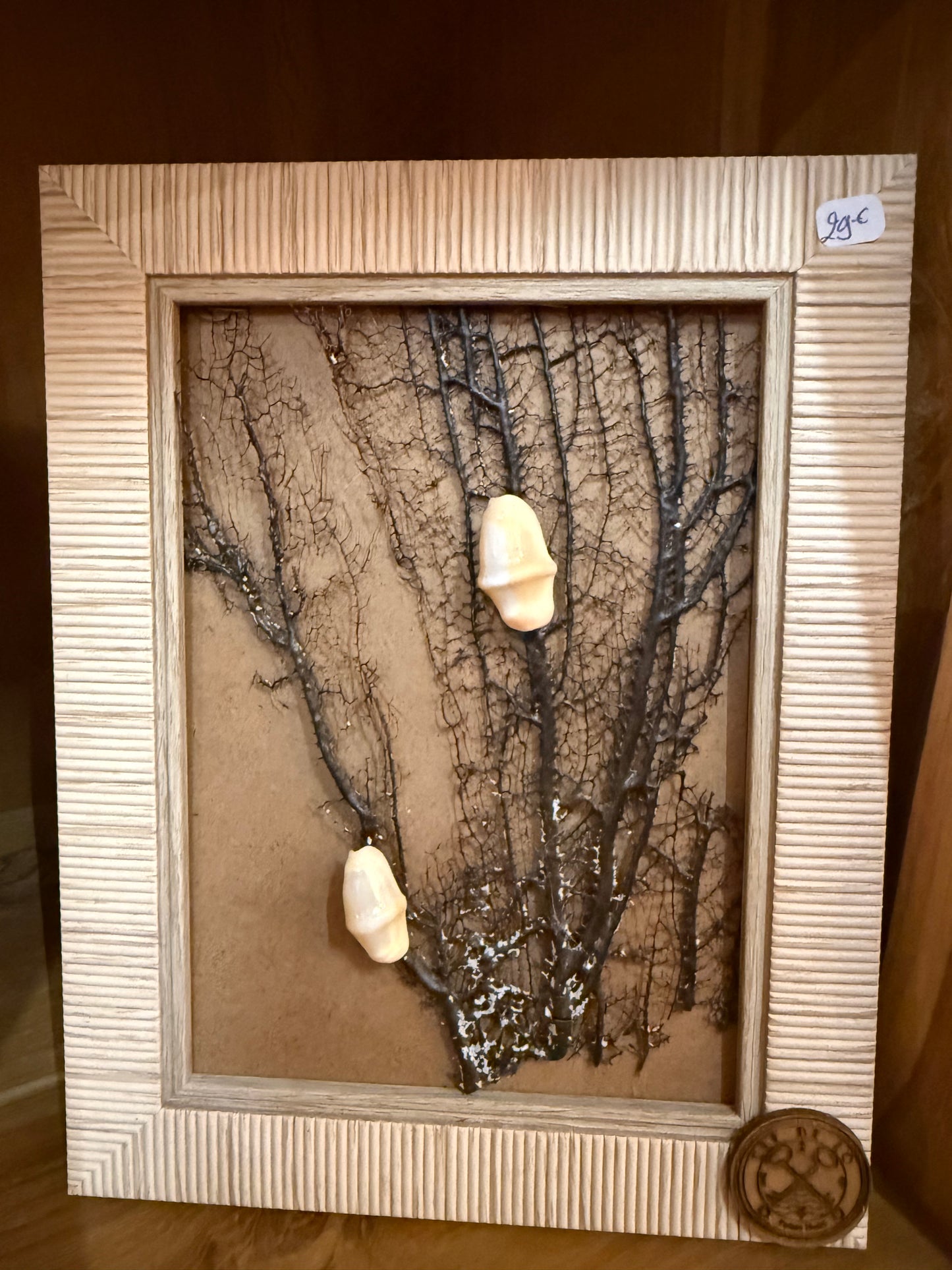 Cadre "côte" 4