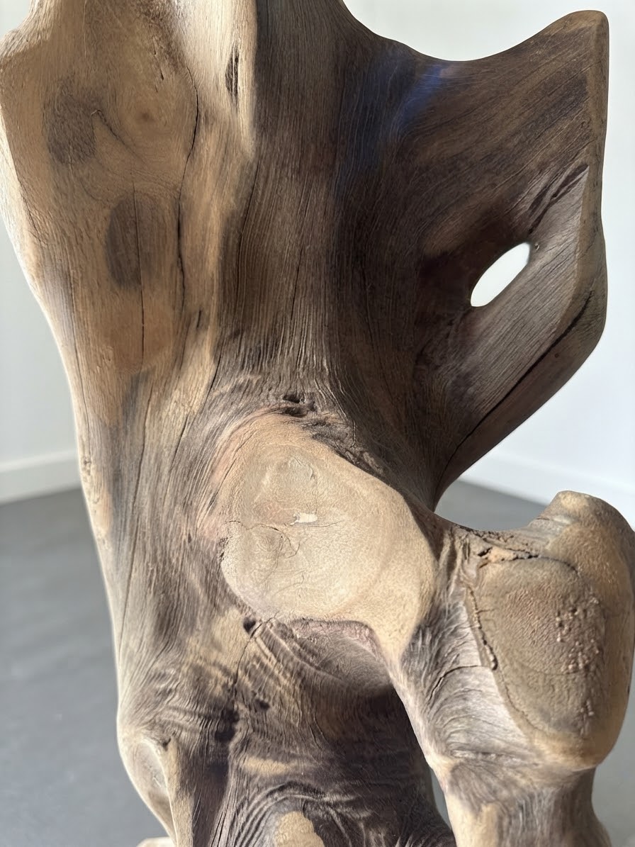 Lampe "écume "Lampadaire en bois flotté — Pièce unique